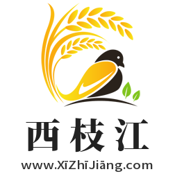 XiZhiJiang.com